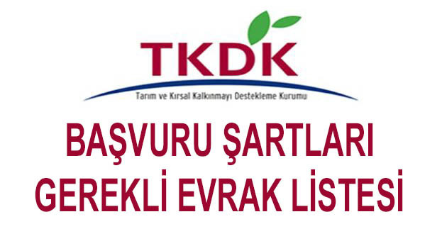 TKDK Başvurusu Şartları, İstenilen Gerekli Evrak Listesi