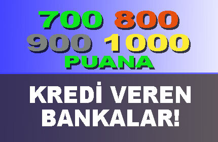 700 800 900 1000 Puana Kredi Veren Bankalar